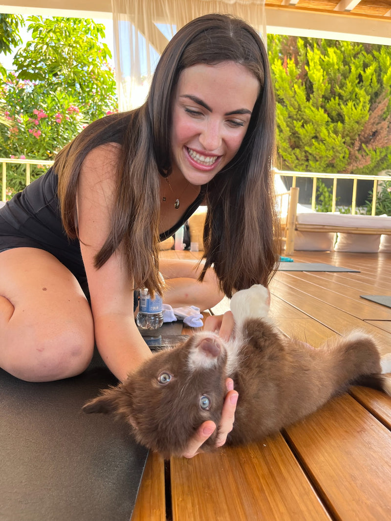 Pups&Yoga - Mornings at Boho Club