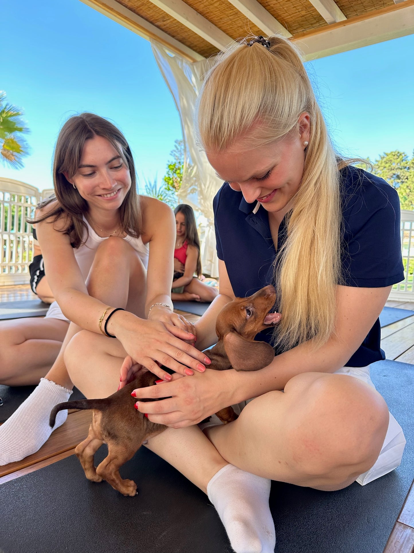 Pups&Yoga - Playa Padre